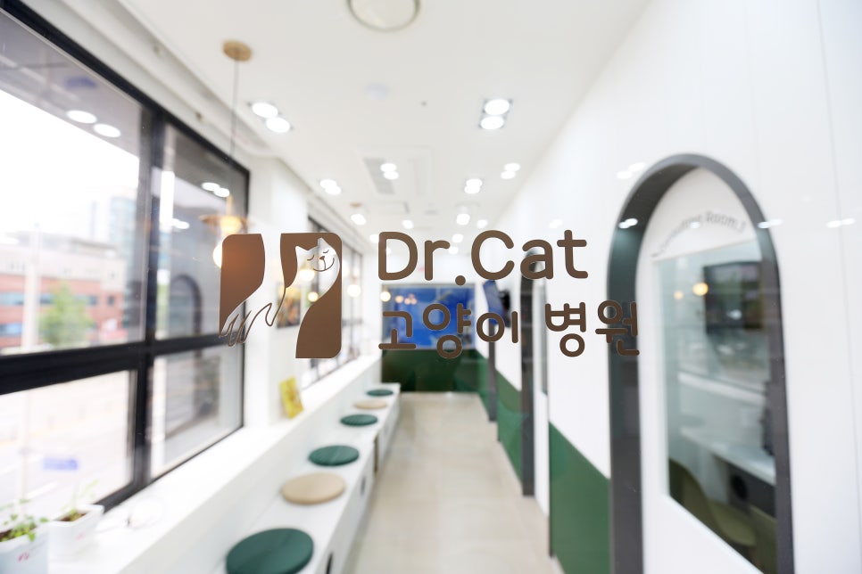 창가 좌석이 있는 진료 대기실